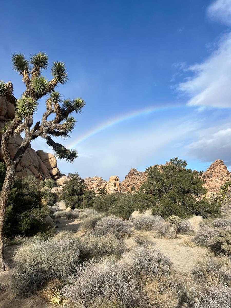 Joshua Tree National Park — rainbow over the desert